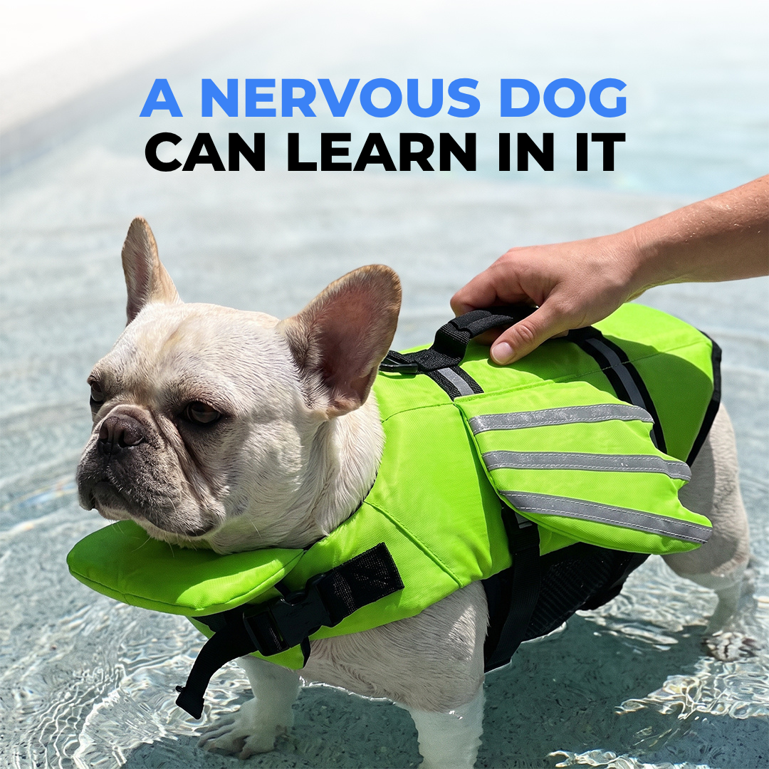 Dog Life Jacket