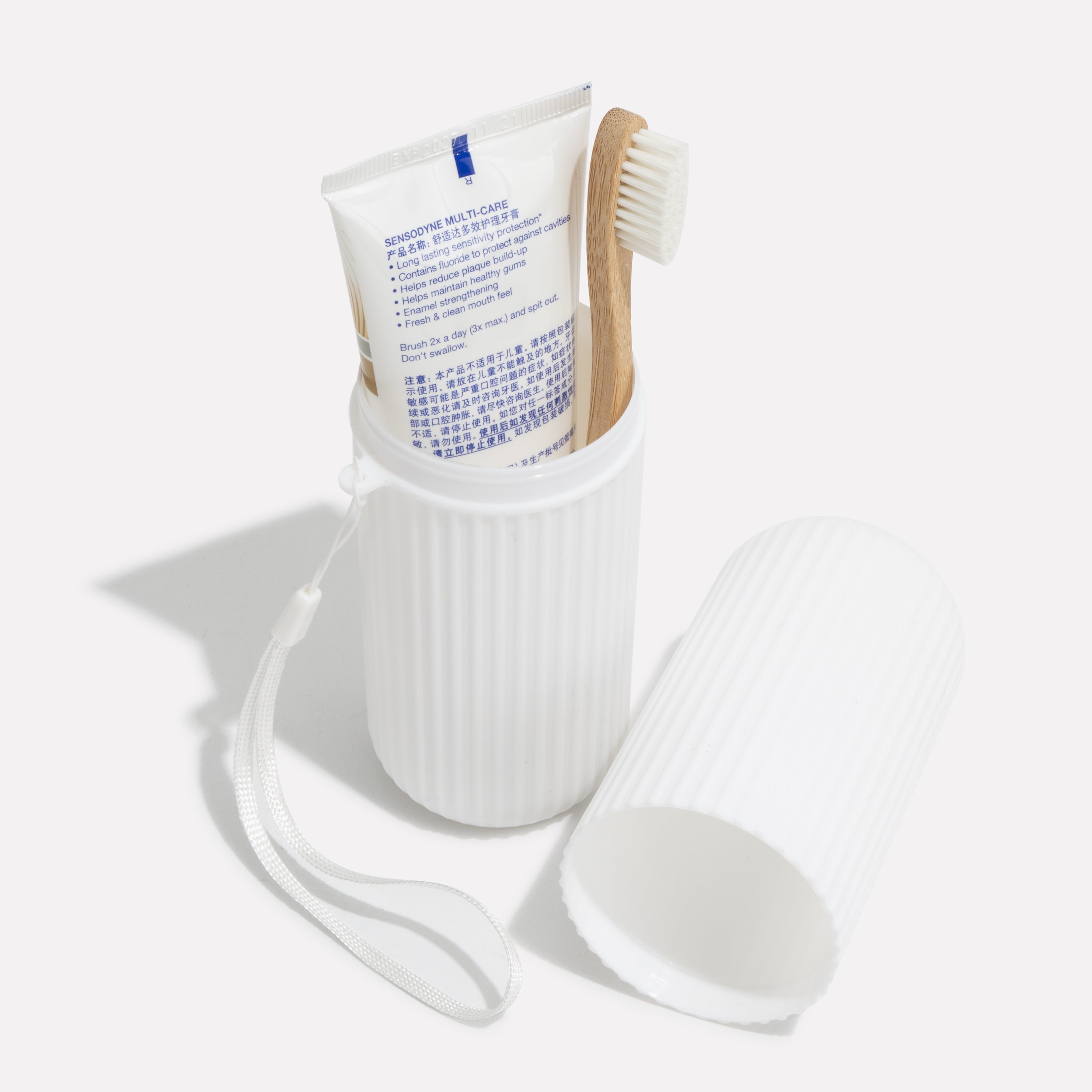 Travel Dental Storage Case