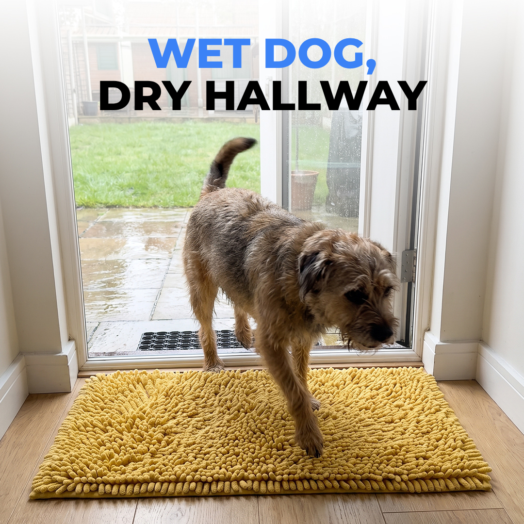 Absorbent Pet Mat