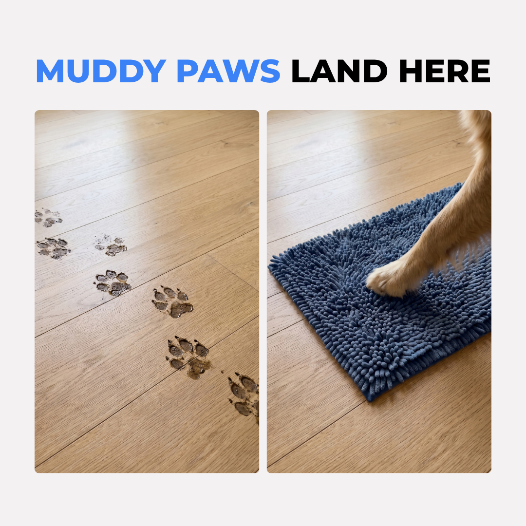 Absorbent Pet Mat