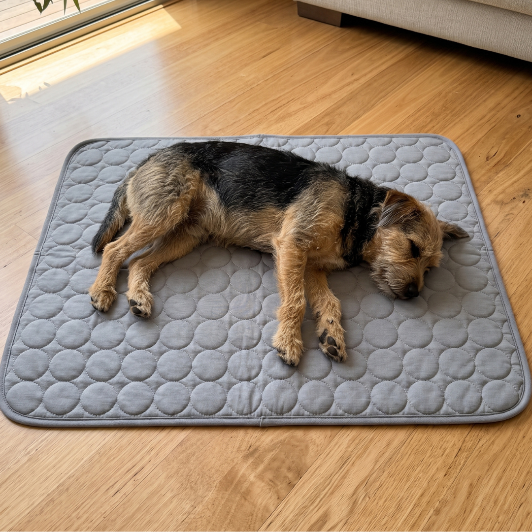 Pet Cooling Mat