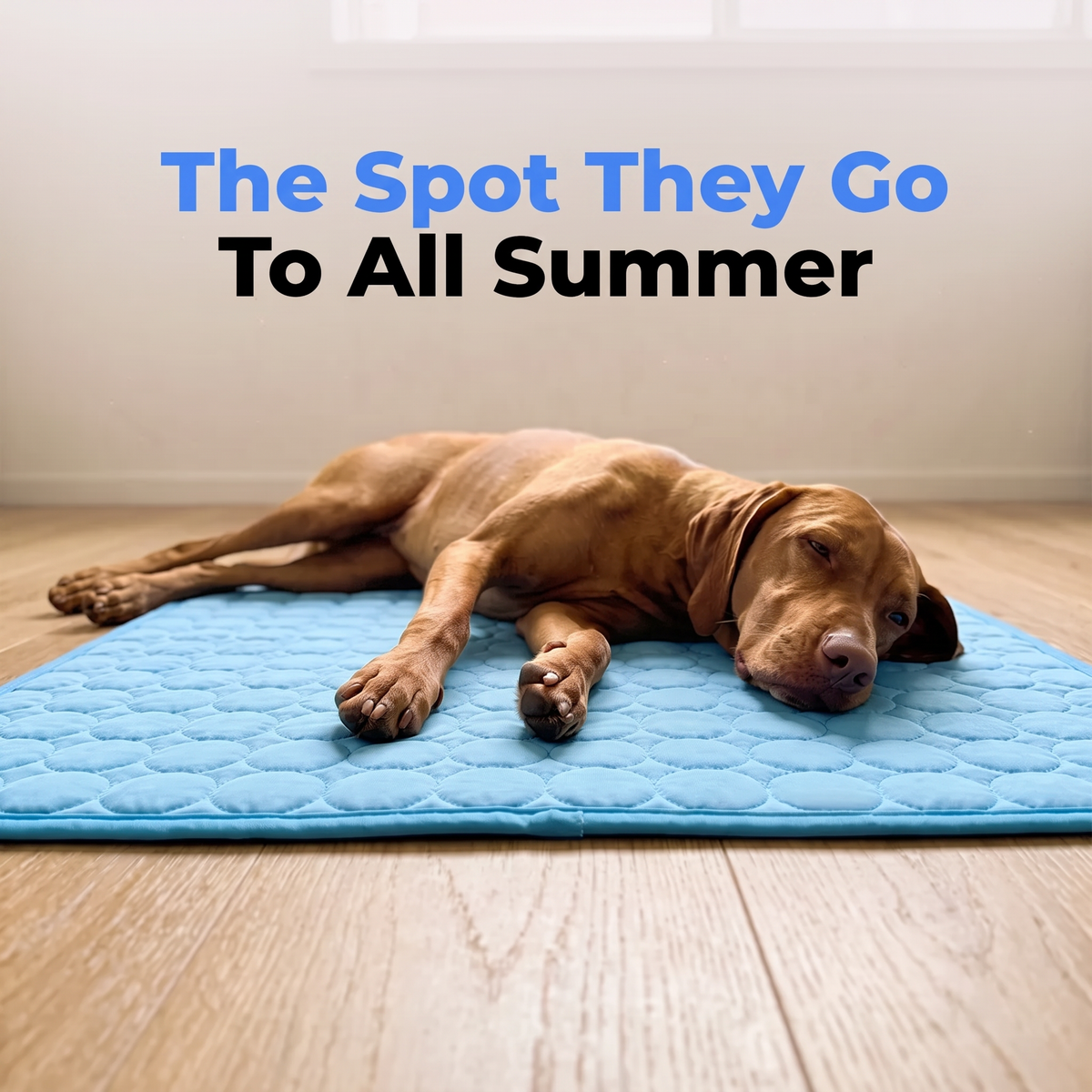 Pet Cooling Mat